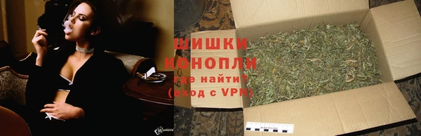 ГАЛЛЮЦИНОГЕННЫЕ ГРИБЫ Щучье