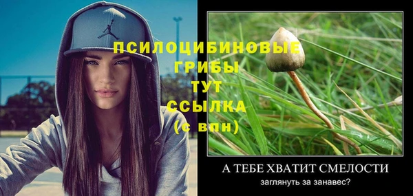 каннабис Струнино