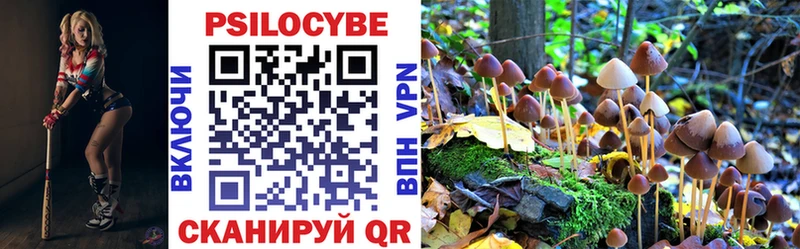 наркошоп  Белинский  Псилоцибиновые грибы Psilocybine cubensis 